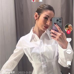 Zara button blouse corset top.